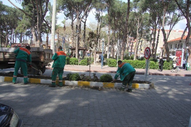 Kavşak Düzenlemesi Sebebiyle Ağaçlar Taşınıyor