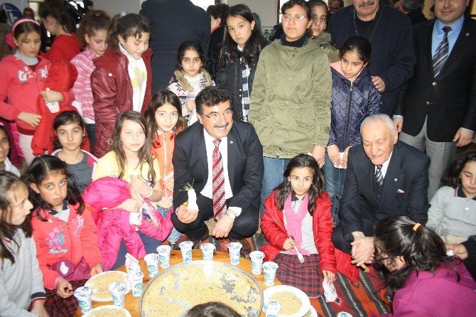 Çiğdem Aşı Geleneği Çorum’da Yaşatılıyor