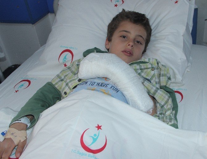 Iraklı Çocuğun Kopan Parmağı Dikildi