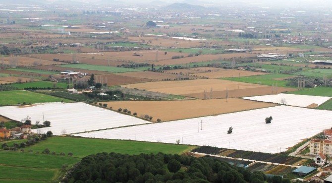 Yaz Patatesine Don Olaylarına Karşı Elyaf Önlemi