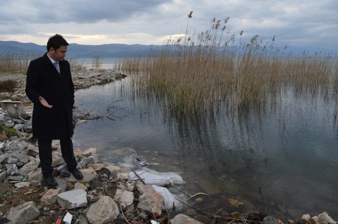 İznik Gölü’ndeki Kirlilik Meclis Gündeminde