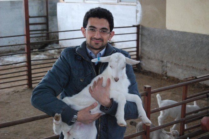 Enerji Üreten Doğa Dostu Çiftlik