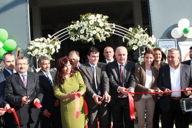 Kadın Girişimci Bakanlıktan Aldığı Yüzde 50 Hibe İle Zeytin Fabrikası Kurdu