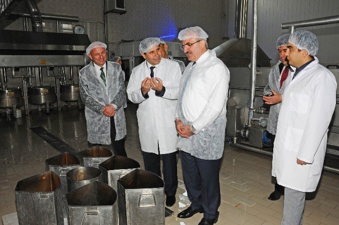 Kestane Şekerine Standart Geliyor