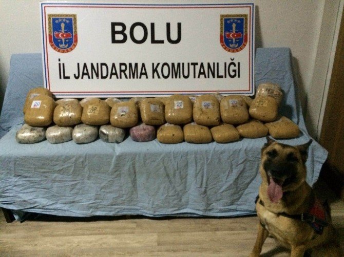 Bolu’da Jandarmadan Otomobil Ve Kamyona Operasyon