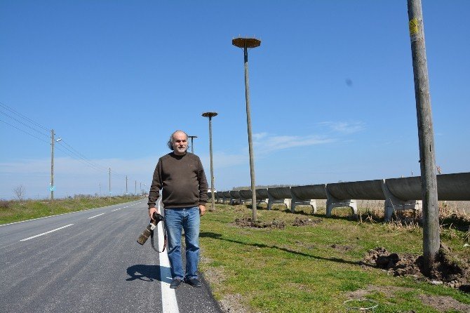 Leylekler İçin Yeni Yuvalar