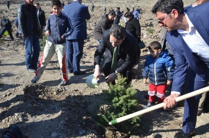 Tokat’ta Şehitler Hatıra Ormanı