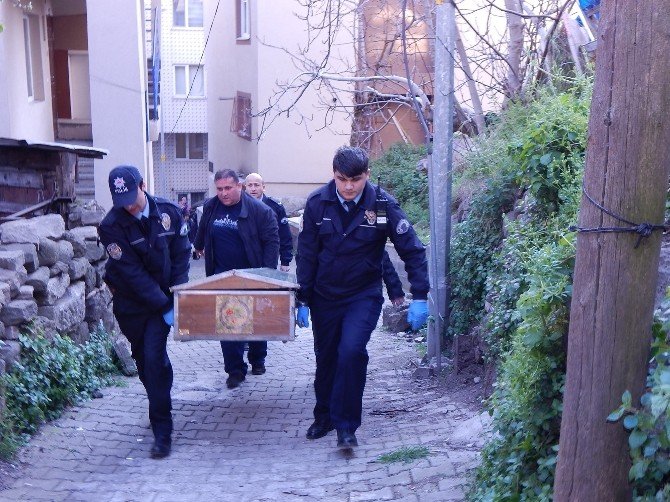 Oğlunu Evde Ölü Buldu