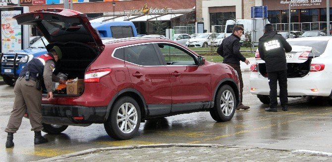 Bolu’da Tem Otoyolu Ve Avm’lerdeki Araçlar Didik Didik Aranıyor