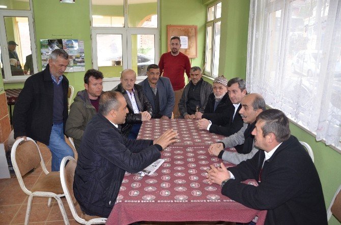 Üzüm Bağlarını Don Vurdu