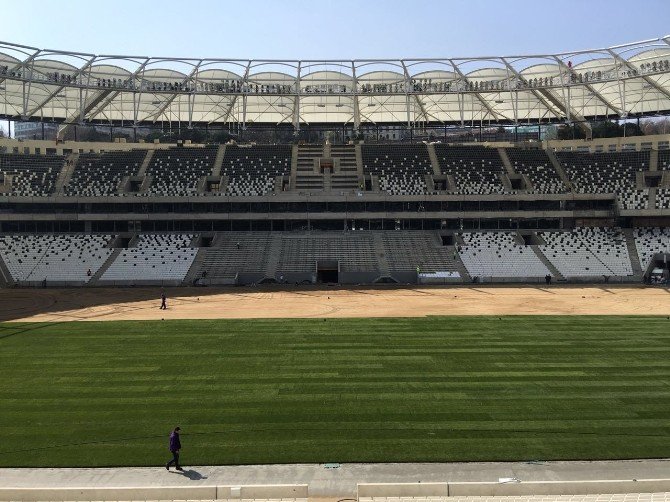 Vodafone Arena’da Çim Serme İşlemi Sürüyor