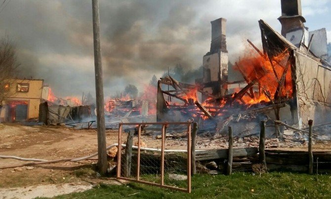Kastamonu’da 3 Ev Yandı, 15 Büyükbaş Hayvan Telef Oldu