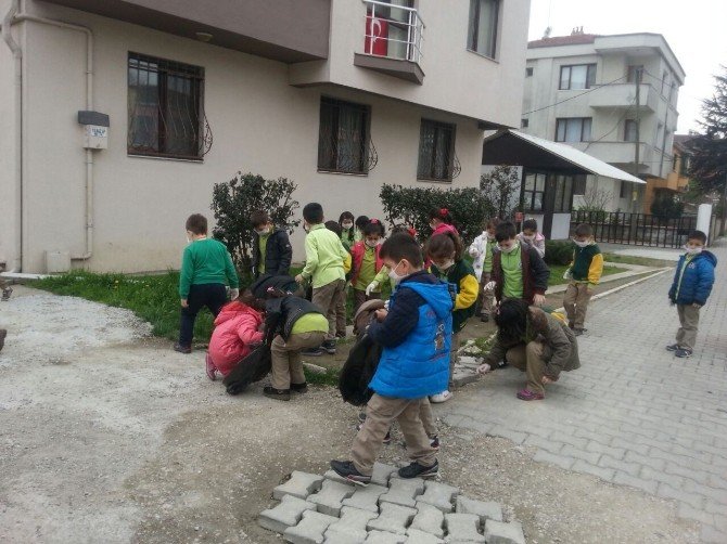 Büyüklerin Attığı Çöpü Minikler Temizledi
