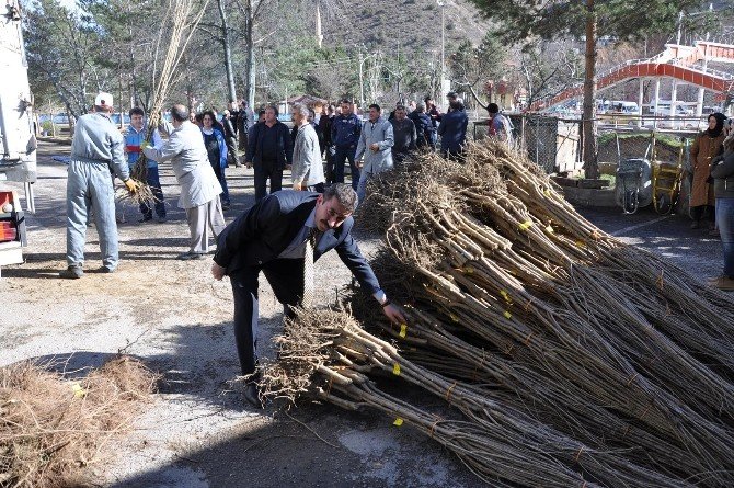 Gümüşhane’de Çiftçilere Meyve Fidanı Dağıtımı Yapıldı
