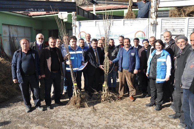 Gümüşhane’de Çiftçilere Meyve Fidanı Dağıtımı Yapıldı
