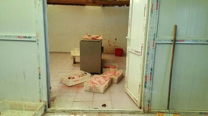 Ordu’da Kaçak Et Baskını