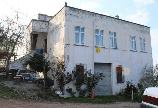 Yeğenini Alnından Vurarak Öldürdü