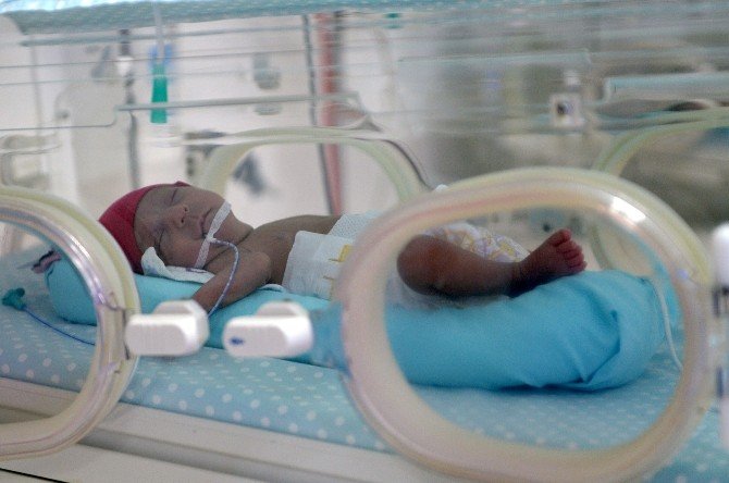 Beşizlerin Mama Ve Bezleri Osmangazi’den