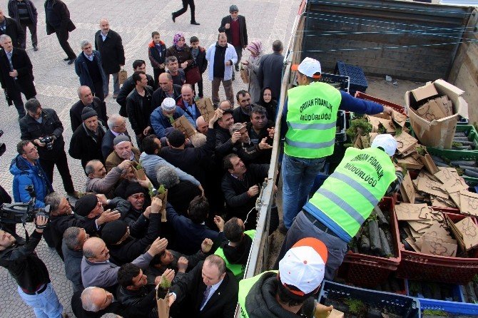 “1 Kan 1 Fidan” Projesi Kapsamında 3 Bin Fidan Dağıtıldı