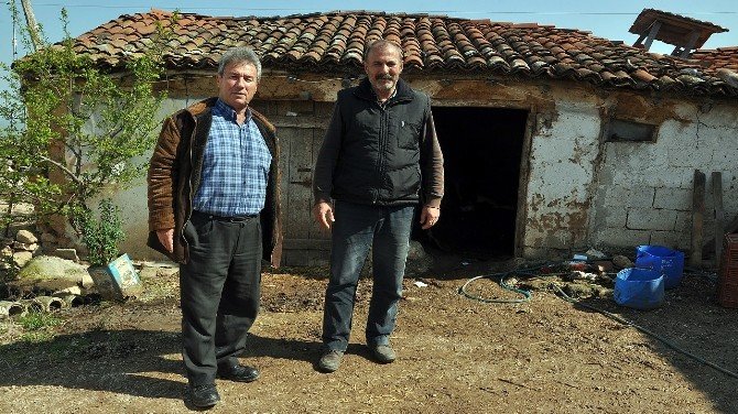 Sütte Kazan Kaynıyor