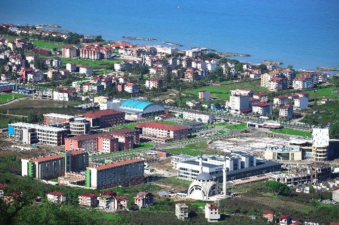 Odü Kabuğuna Sığmadı