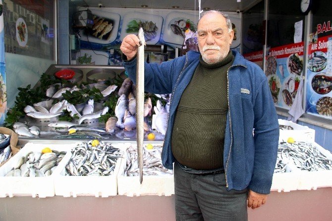 Soğuk Havalar Balık Fiyatlarını Arttırdı