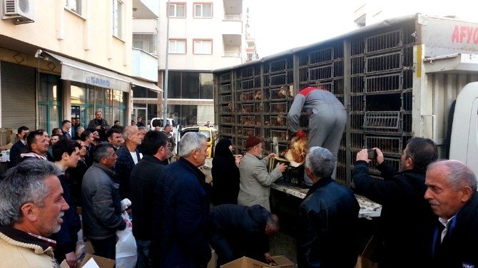 Giresunlu Çiftçilere 500 Adet Tavuk Dağıtıldı