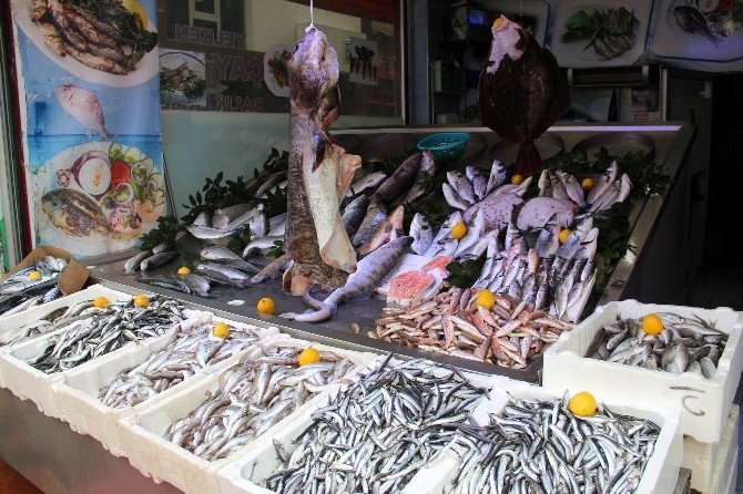 Soğuk Havalar Balık Fiyatlarını Arttırdı