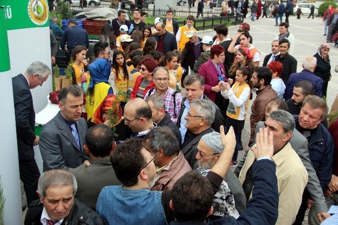 Bin “Mazı Fidanı” Yarım Saatte Tükendi