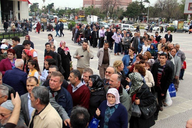 Bin “Mazı Fidanı” Yarım Saatte Tükendi