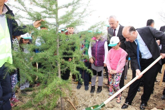 Gazeteciler Fidan Dikti, Protokol Çekim Yaptı