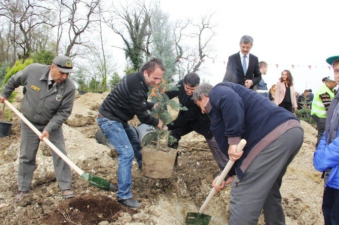 Gazeteciler Fidan Dikti, Protokol Çekim Yaptı