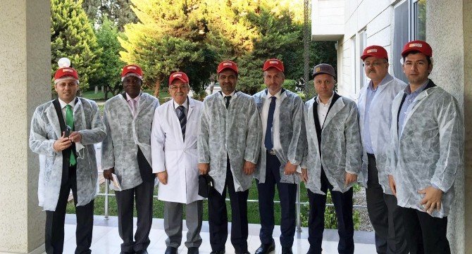 Gana Adana’dan 1 Milyon Ton Sıvı Yağ Alacak