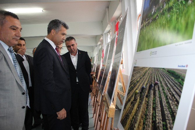 Çanakkale Damızlık Koyun Keçi Yetiştiricileri Birliği Başkanı Ferhan Savran: