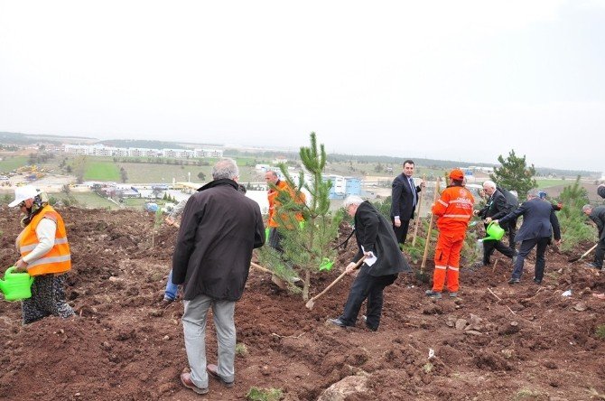 Kastamonu’da Ormancılık Haftası Kutlandı