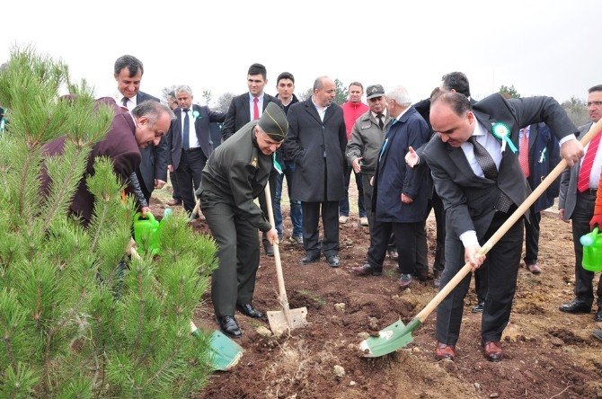 Kastamonu’da Ormancılık Haftası Kutlandı