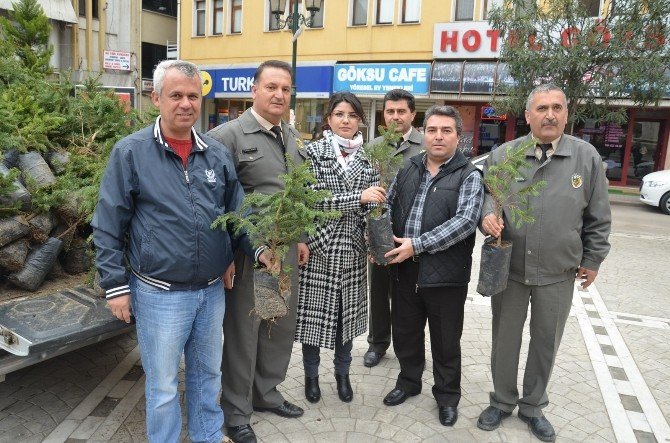 Fatsa’da 5 Bin Fidan 15 Dakika İçinde Tükendi