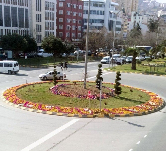 Trabzon Rengarenk