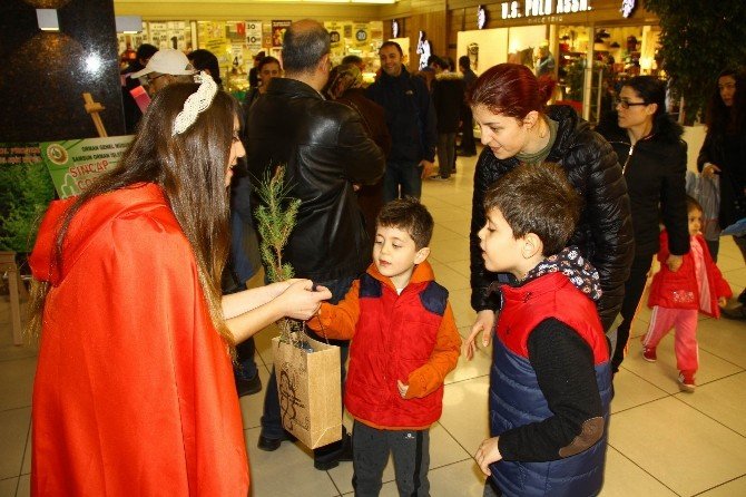 Vatandaşlara Bin Adet Fidan Dağıtıldı