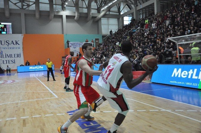 Spor Toto Basketbol Ligi