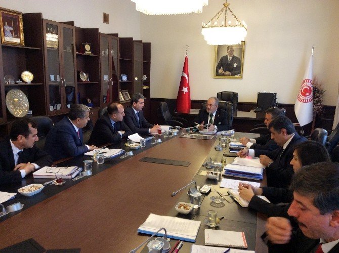 Meclise Bitkisel Çitli Güvenlik Duvarı