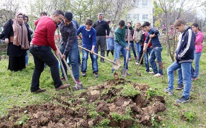 Atakumlu Gençler Öğrencilerle Sarımsak Ve Bezelye Ekti