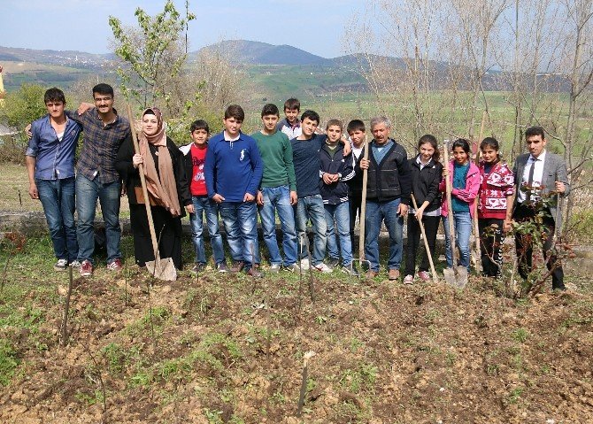 Atakumlu Gençler Öğrencilerle Sarımsak Ve Bezelye Ekti