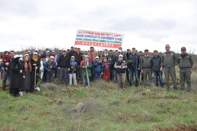 Berberler Fidan Dikti