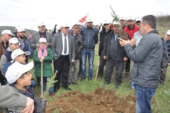 Berberler Fidan Dikti