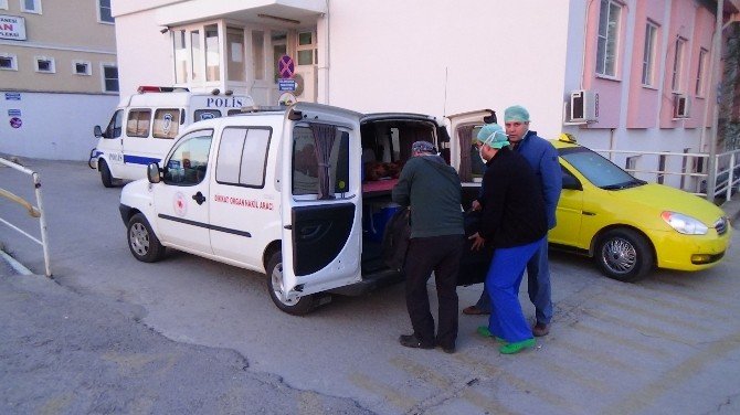 Organlarıyla 6 Kişiyi Hayata Bağladı