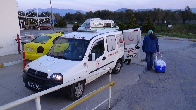 Organlarıyla 6 Kişiyi Hayata Bağladı