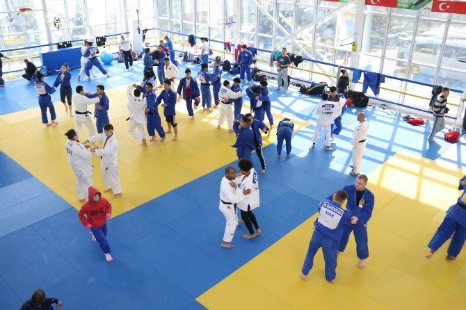 Judo Milli Takımları Son Hazırlıklarını Yaptı
