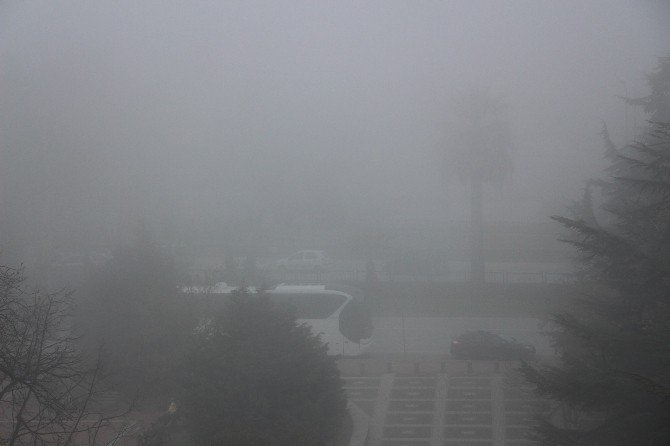 Samsun’da Göz Gözü Görmüyor