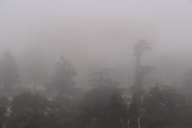 Samsun’da Göz Gözü Görmüyor
